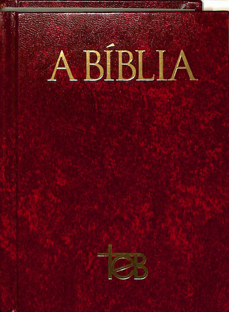 聖書 ポルトガル語 ポルトガル語聖書(ポルトガル語) A BIBLIA / 古本、中古本、古