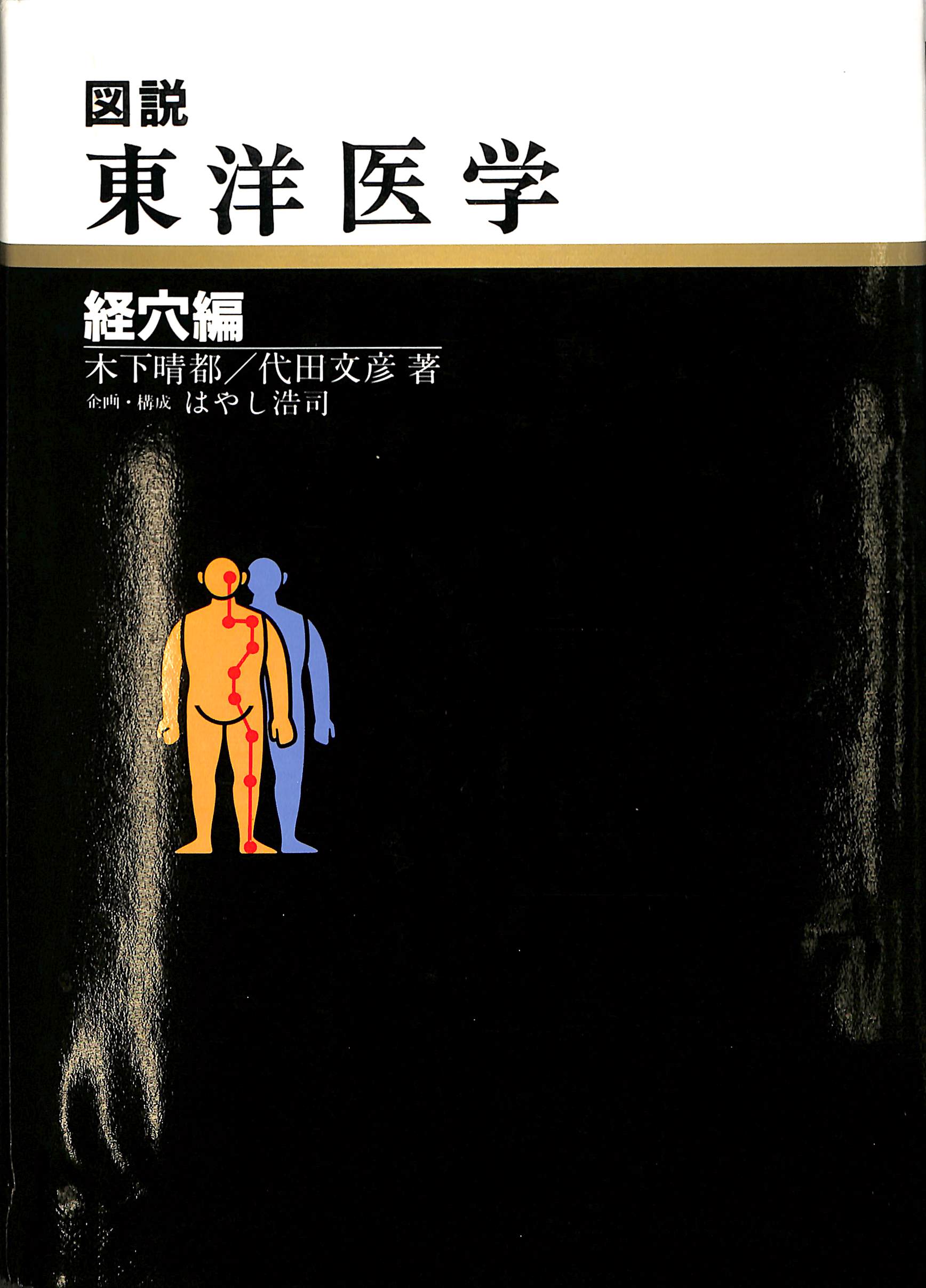 東洋医学　経穴編 図説 東洋医学 経穴編(木下晴都 松元丈明) / 古本、中古本、古